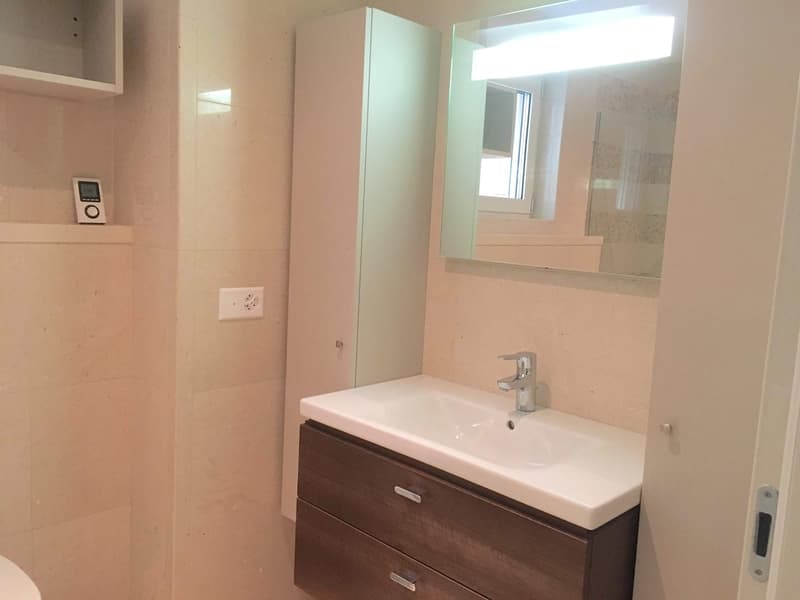 Melide elegant and spacious 5.5 rooms (13)