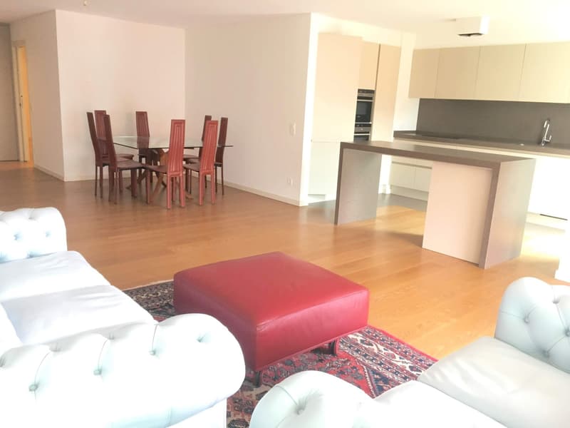 Melide elegant and spacious 5.5 rooms (4)