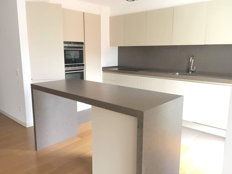 Melide elegant and spacious 5.5 rooms (7)