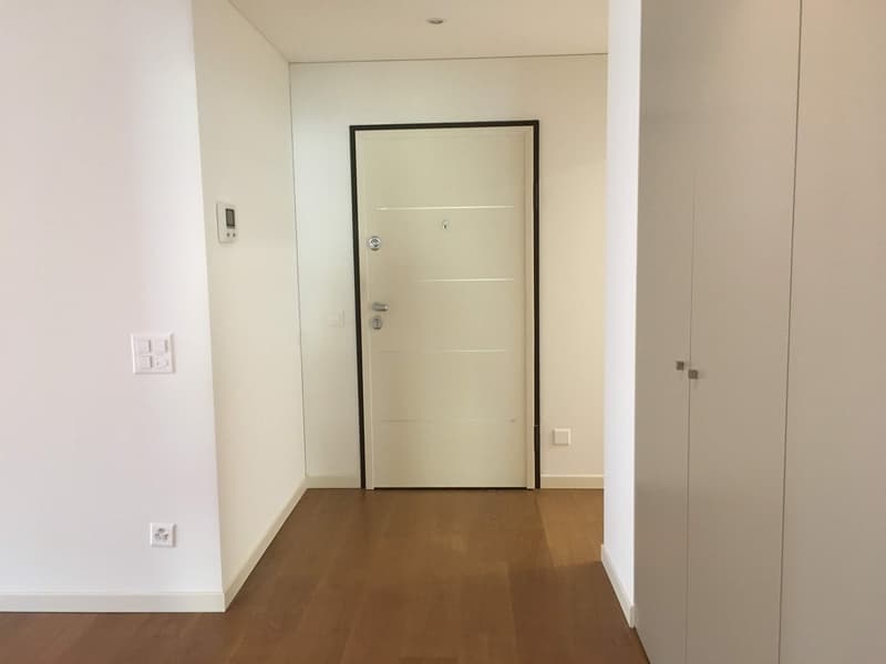 Melide elegant and spacious 5.5 rooms (2)
