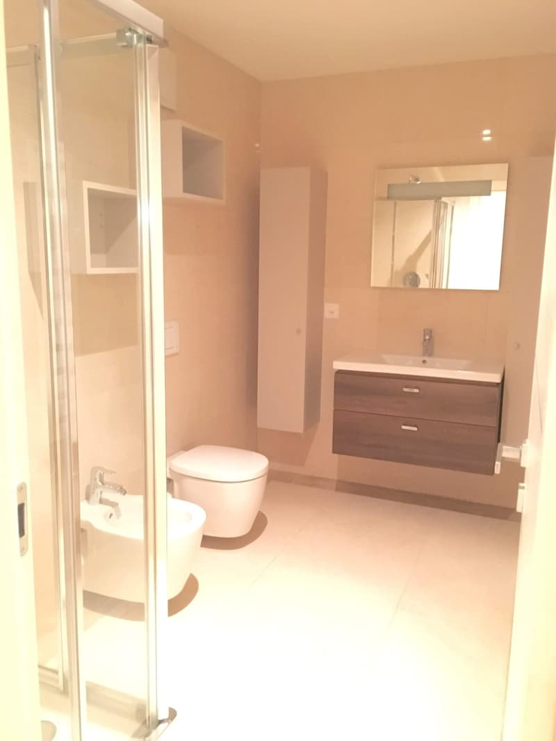 Melide elegant and spacious 5.5 rooms (8)