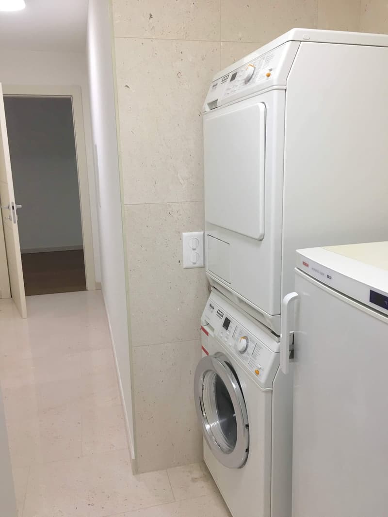 Melide elegant and spacious 5.5 rooms (3)