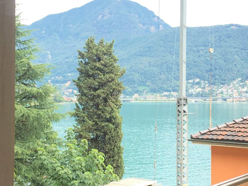 Melide elegant and spacious 5.5 rooms (6)