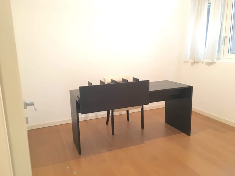 Melide elegant and spacious 5.5 rooms (12)
