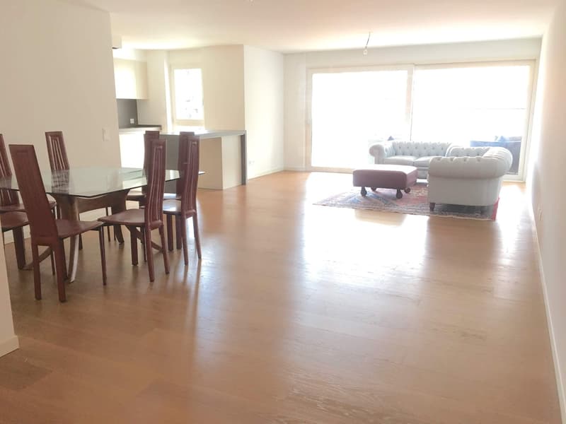 Melide elegant and spacious 5.5 rooms (1)