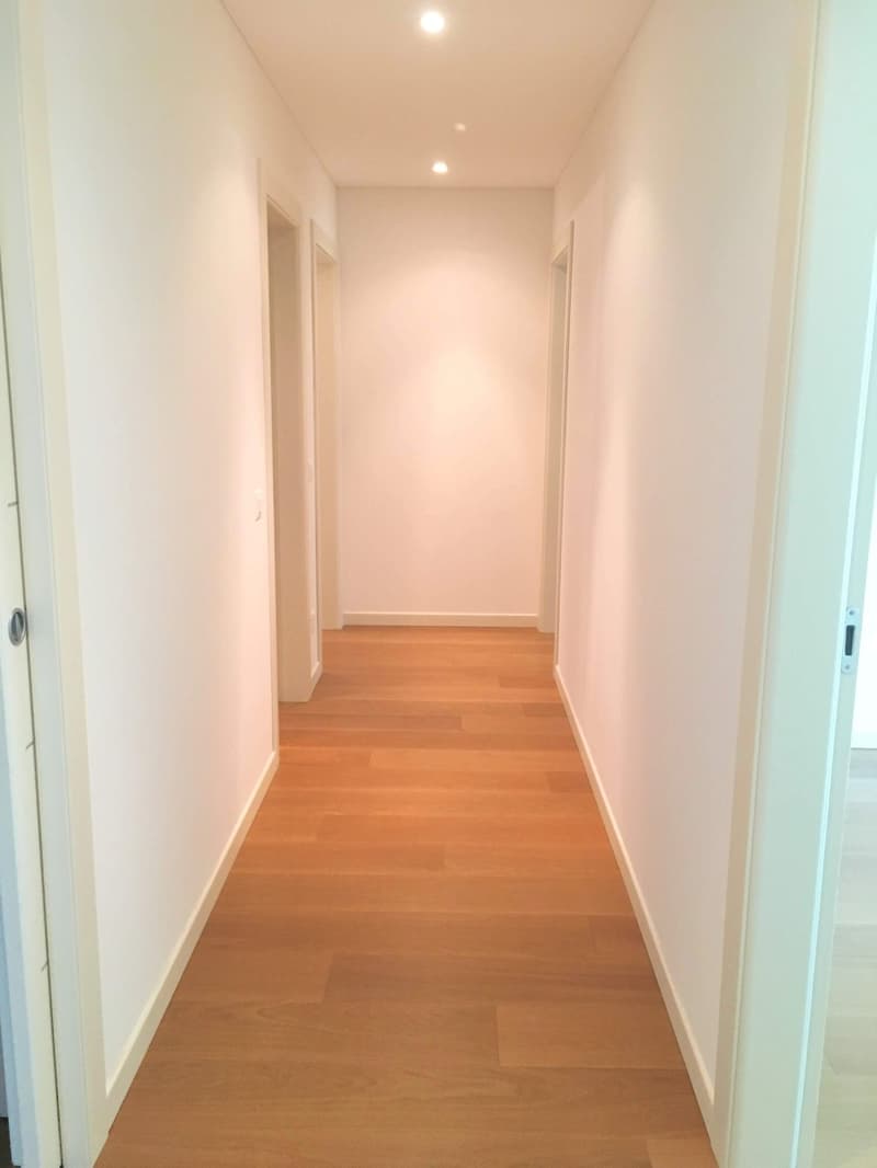 Melide elegant and spacious 5.5 rooms (9)