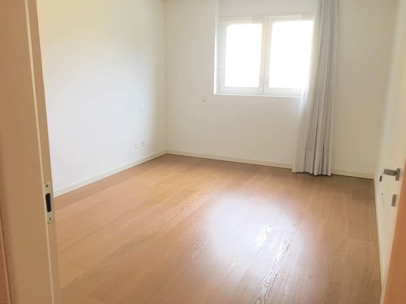 Melide elegant and spacious 5.5 rooms (11)