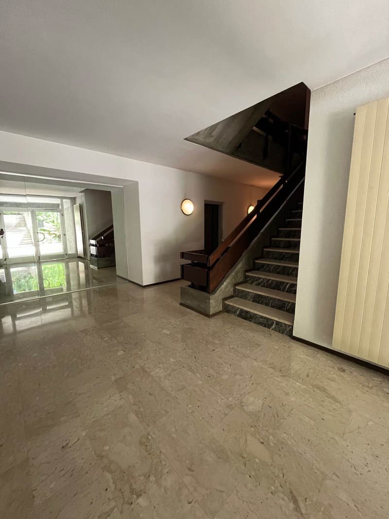 Magnificent high-end apartment in Lugano (3)