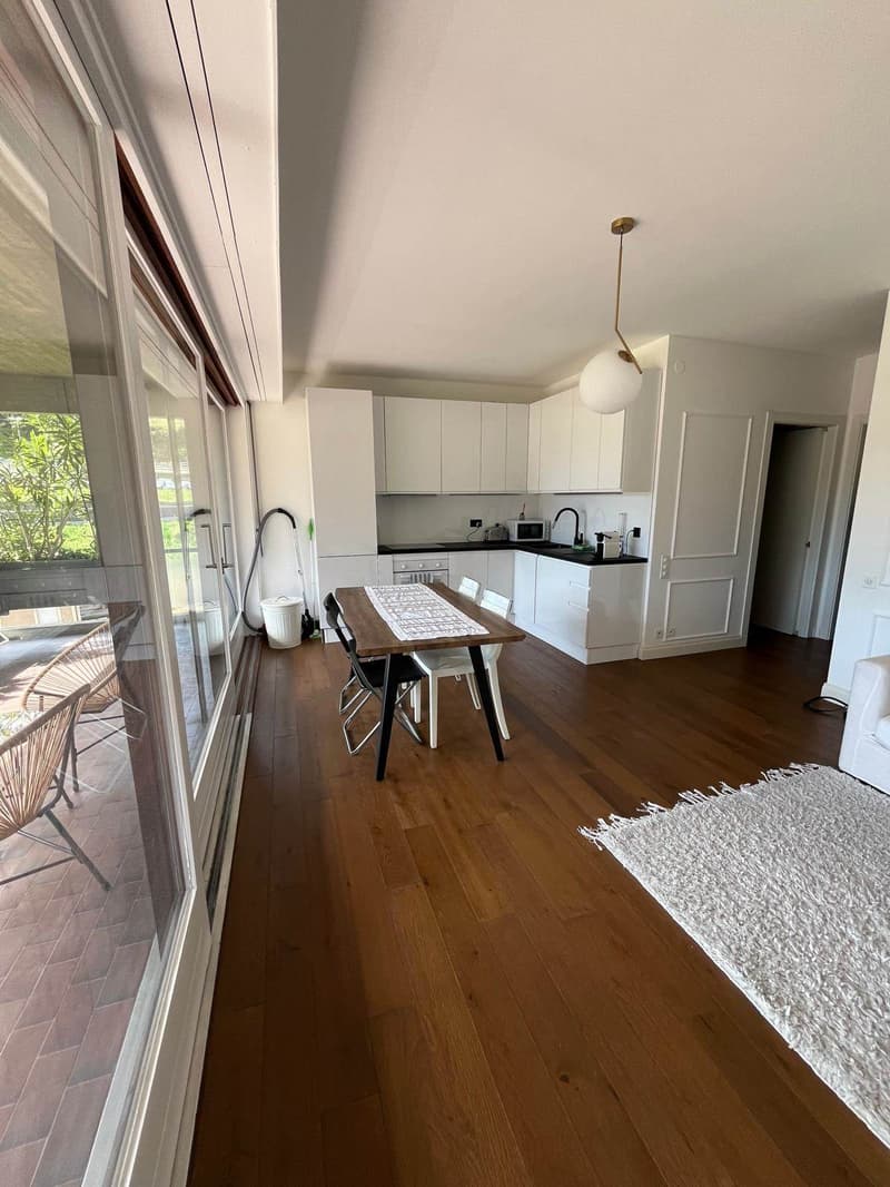 Magnificent high-end apartment in Lugano (5)