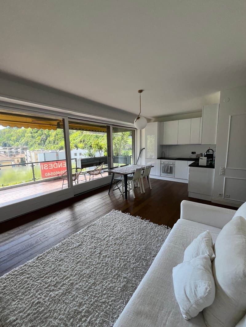 Magnificent high-end apartment in Lugano (4)