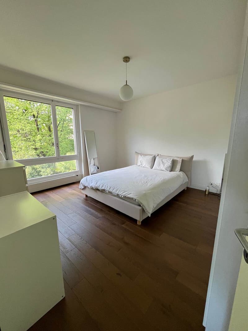 Magnificent high-end apartment in Lugano (6)