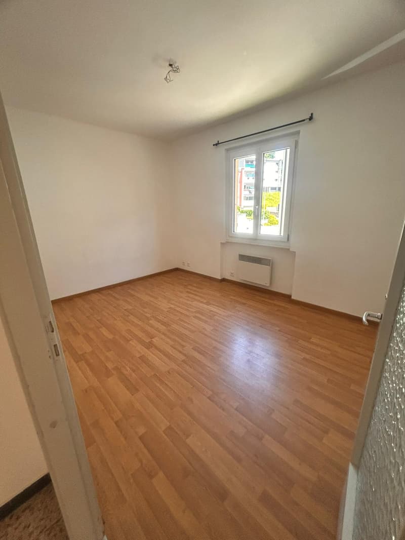 Apartment surrounded by greenery in Tesserete (12)