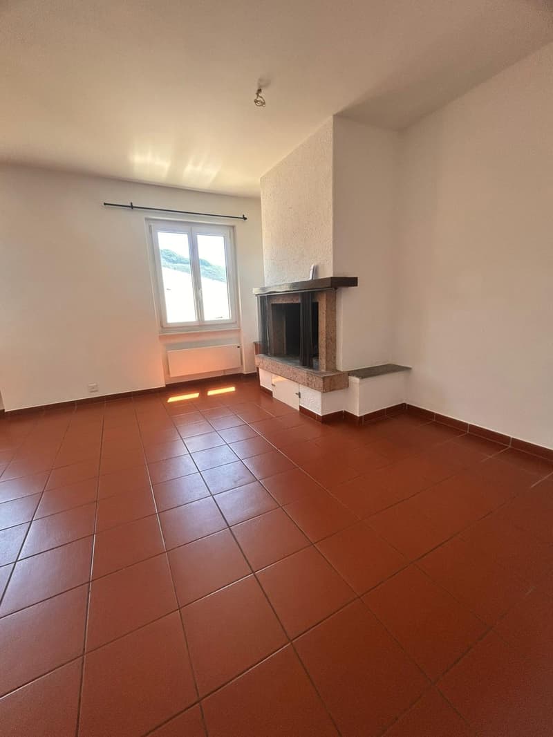 Apartment surrounded by greenery in Tesserete (6)