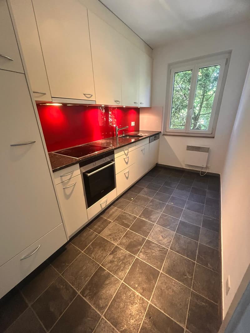 Apartment surrounded by greenery in Tesserete (8)