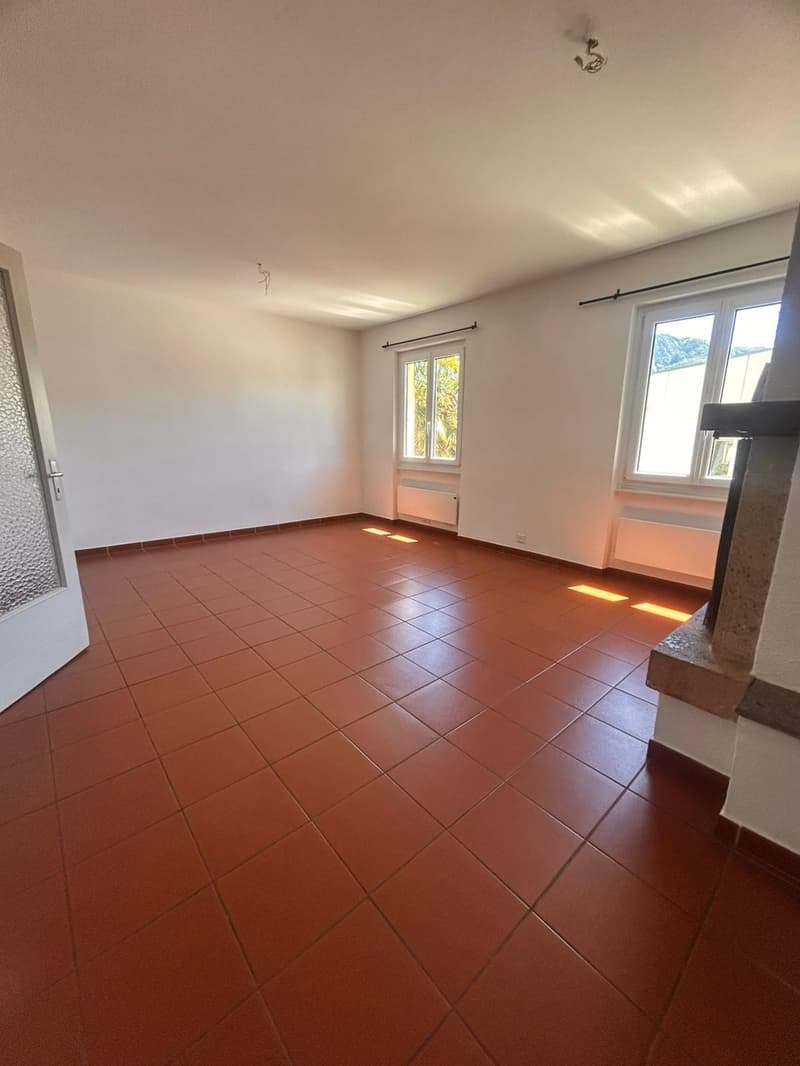 Apartment surrounded by greenery in Tesserete (7)