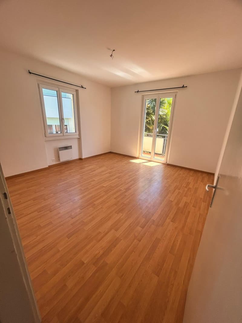 Apartment surrounded by greenery in Tesserete (13)