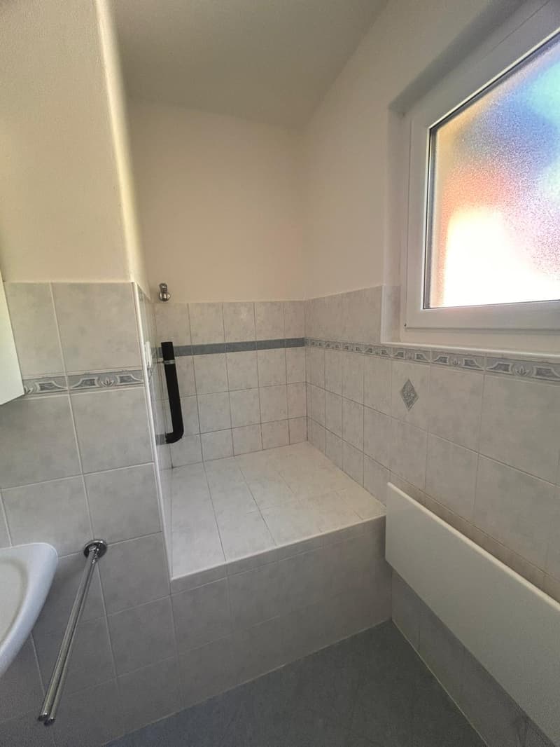 Apartment surrounded by greenery in Tesserete (17)