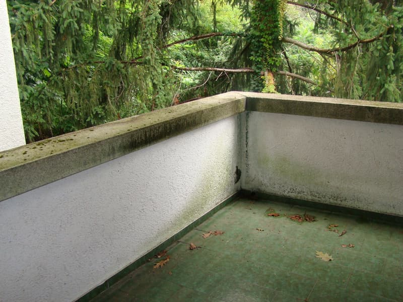 Morbio Inferiore Villa di carattere con ampia vista panoramica immersa nel verde (24)