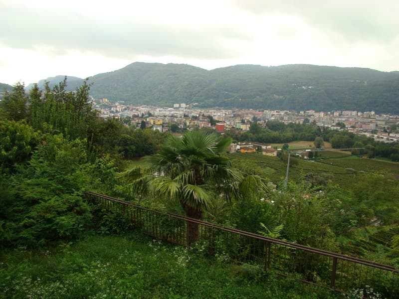 Morbio Inferiore Villa di carattere con ampia vista panoramica immersa nel verde (35)