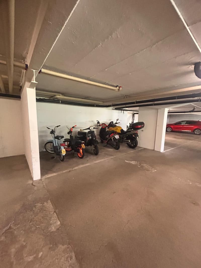Gemütliche 3,5-Zimmer-Wohnung in Morbio Inferiore (14)