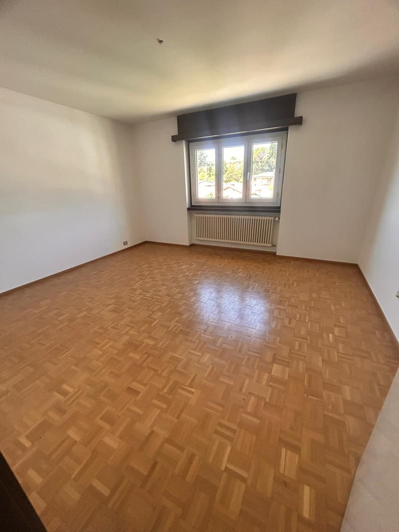 Gemütliche 3,5-Zimmer-Wohnung in Morbio Inferiore (10)