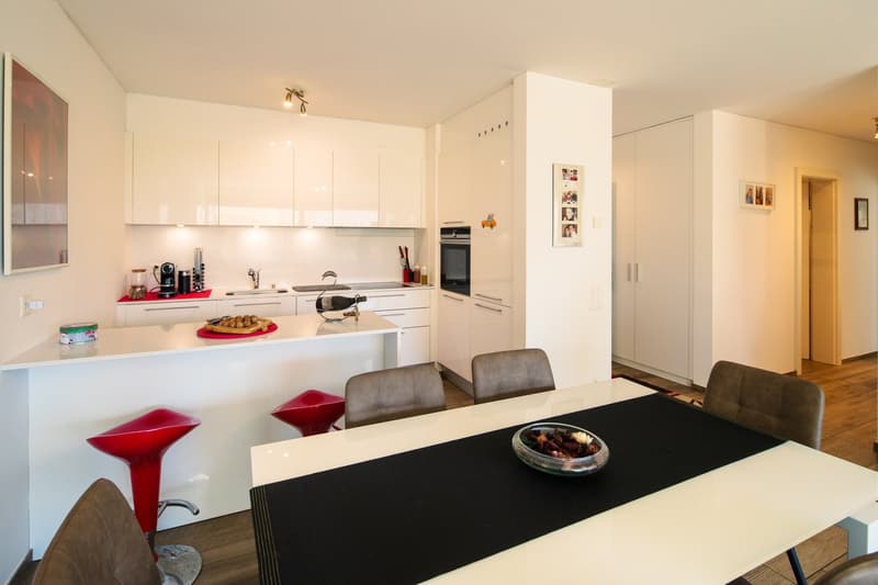 Wohnung 3,5 mit großer Terrasse (3)