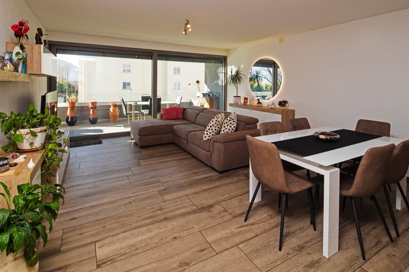 Wohnung 3,5 mit großer Terrasse (2)