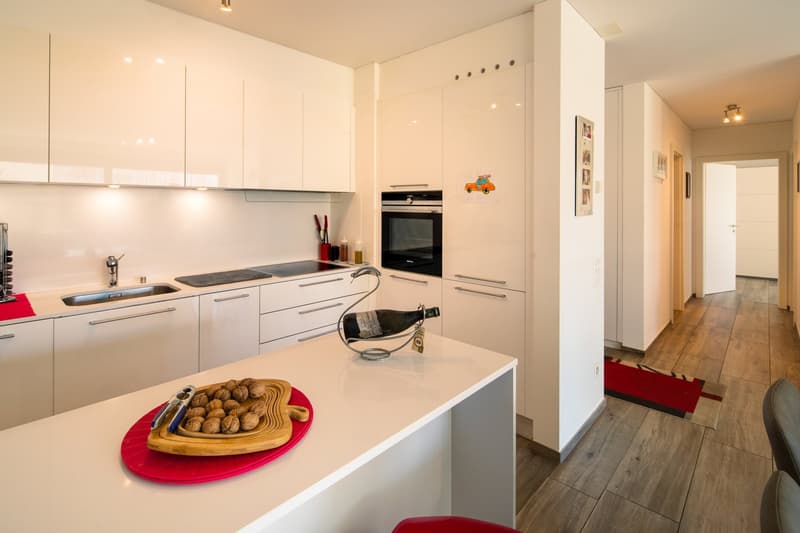 Wohnung 3,5 mit großer Terrasse (4)
