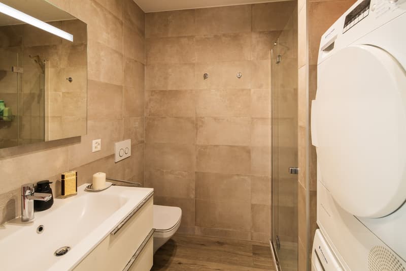 Wohnung 3,5 mit großer Terrasse (8)