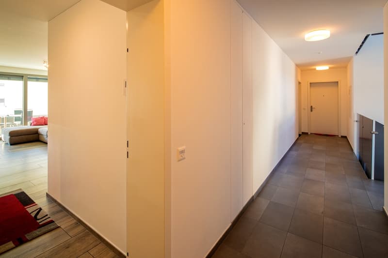 Wohnung 3,5 mit großer Terrasse (6)