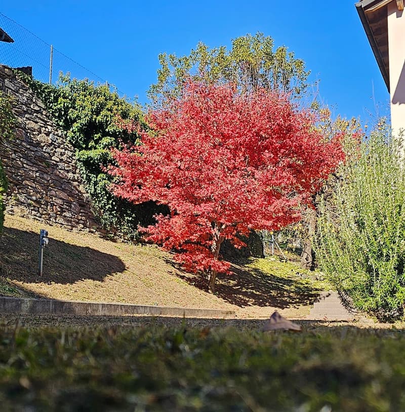 Villa zur Miete - Seeblick (14)