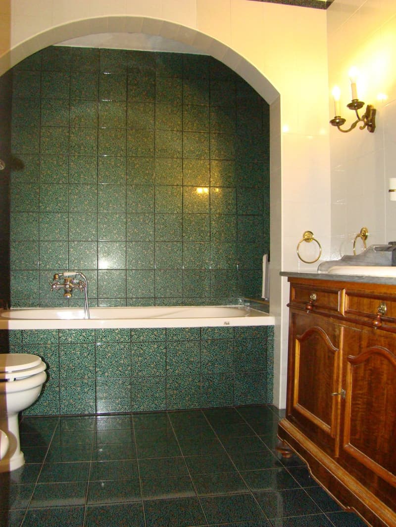Maison spacieuse de 5.5 pièces avec vue sur le lac à Figino (9)