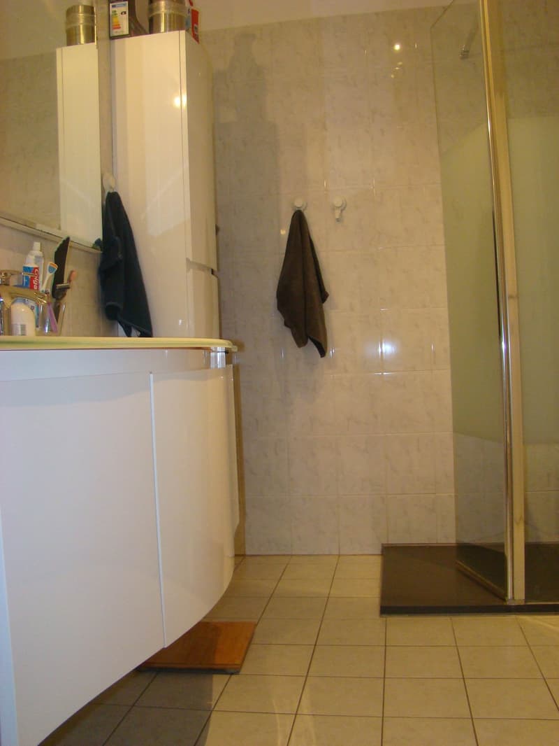 Mühle Neu, modern und geräumig 4,5 Zimmer mit offener Aussicht (8)