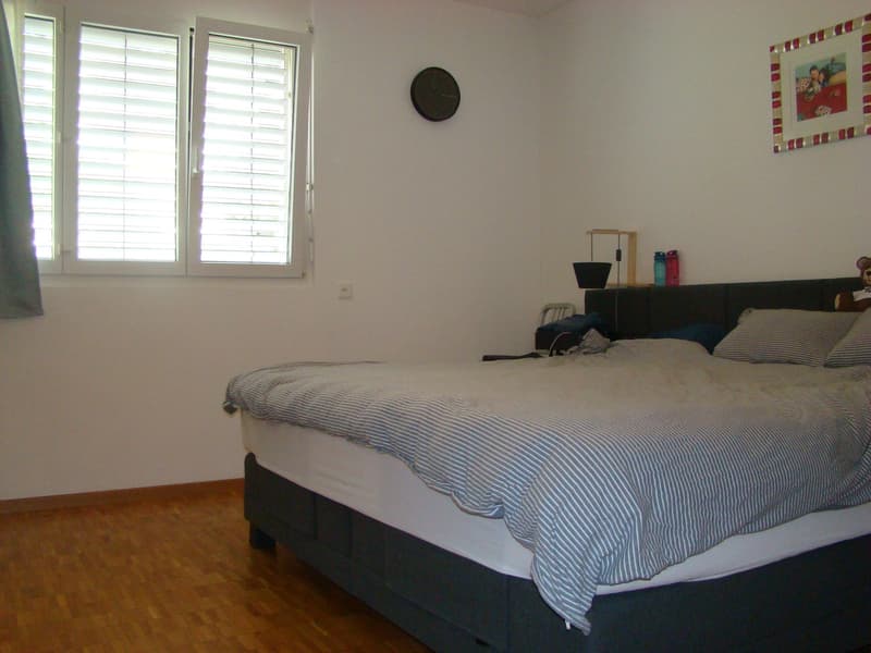 Mühle Neu, modern und geräumig 4,5 Zimmer mit offener Aussicht (4)