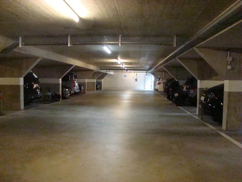 Mühle Neu, modern und geräumig 4,5 Zimmer mit offener Aussicht (11)