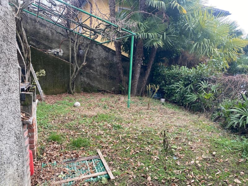 small garden with some plants and green metal structure, dried leaves, no fence