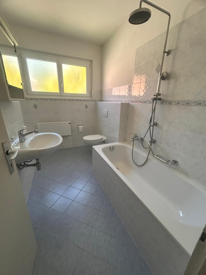 Appartement immergé dans le verdure à Tesserete (18)
