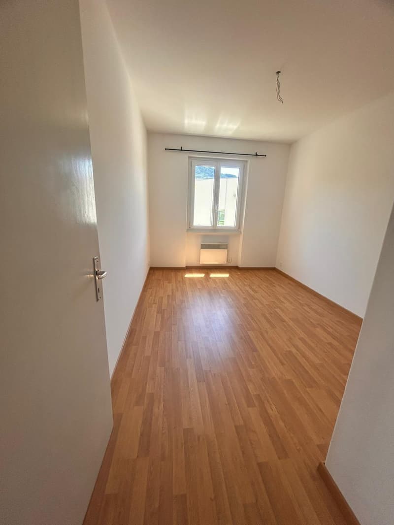 Appartement immergé dans le verdure à Tesserete (15)