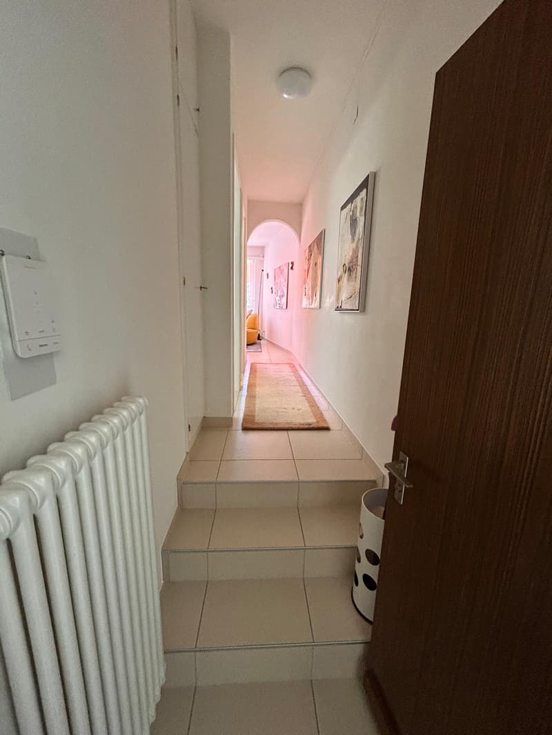Vollständig möblierte Wohnung in Losone (6)