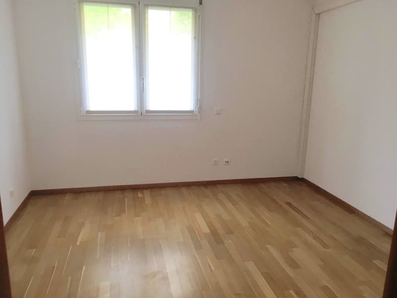Breganzona 2,5 Zimmer, geräumige und helle Wohnung (6)