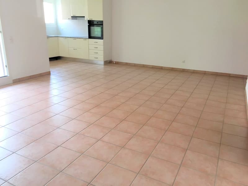 Breganzona 2,5 Zimmer, geräumige und helle Wohnung (7)