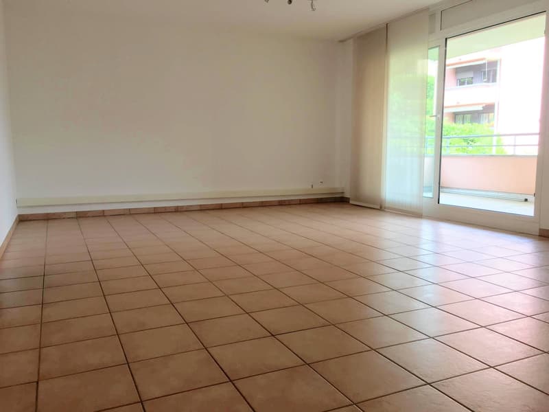 Breganzona 2,5 Zimmer, geräumige und helle Wohnung (8)