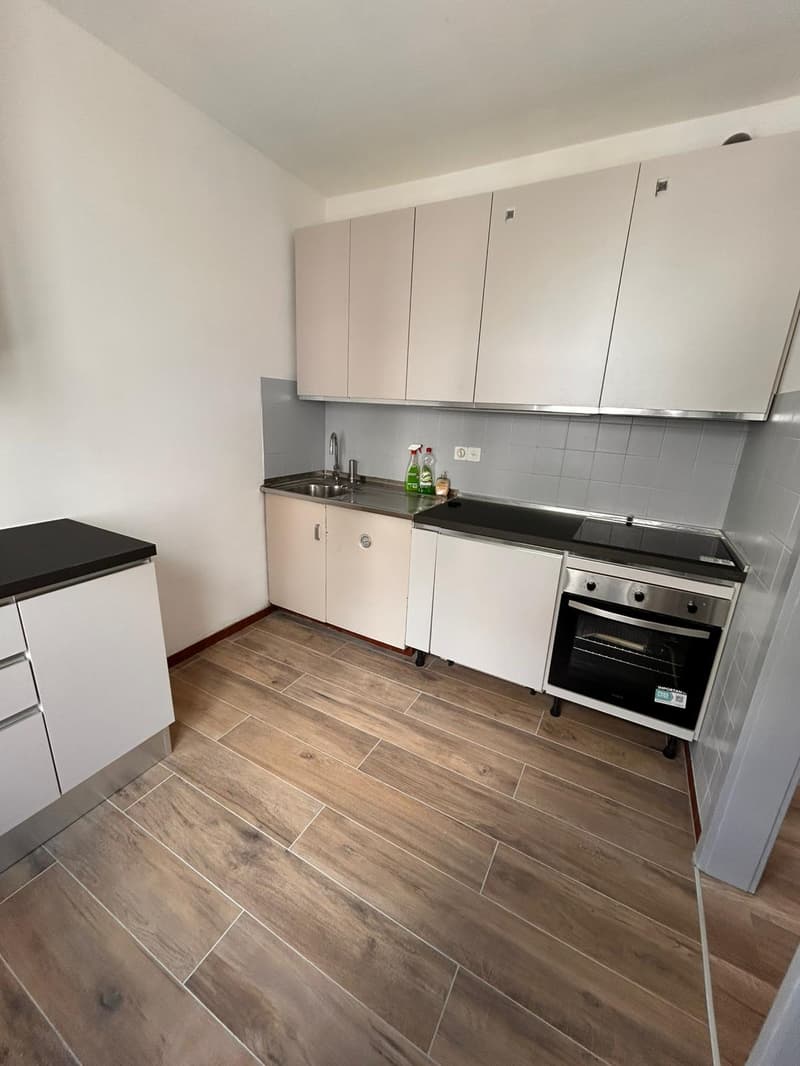 3.5-room apartment in the center of Viganello (3)