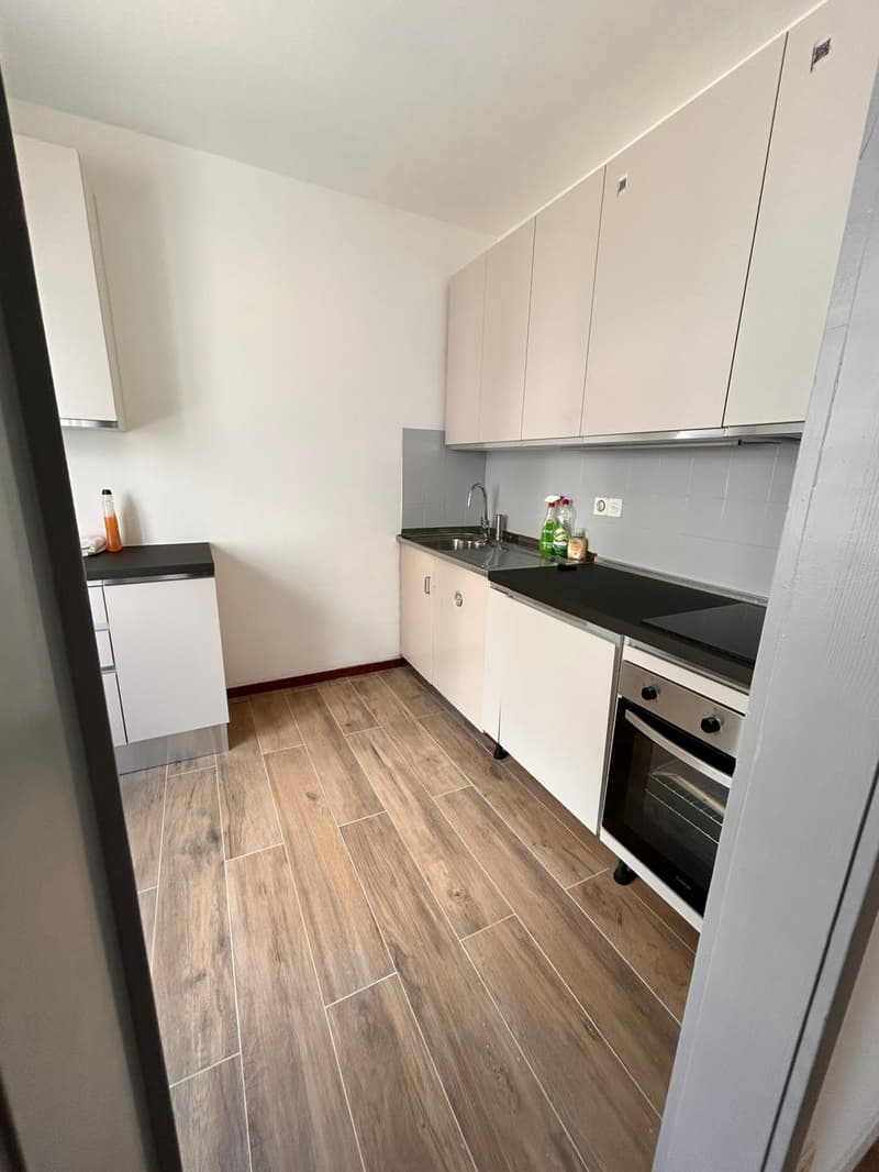 3.5-room apartment in the center of Viganello (2)