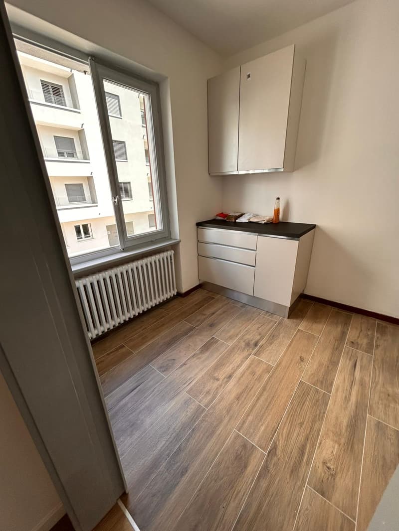3.5-room apartment in the center of Viganello (7)