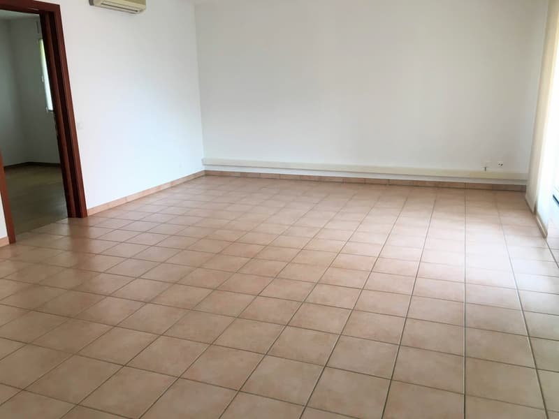 Geräumige und helle Wohnung in Breganzona (7)