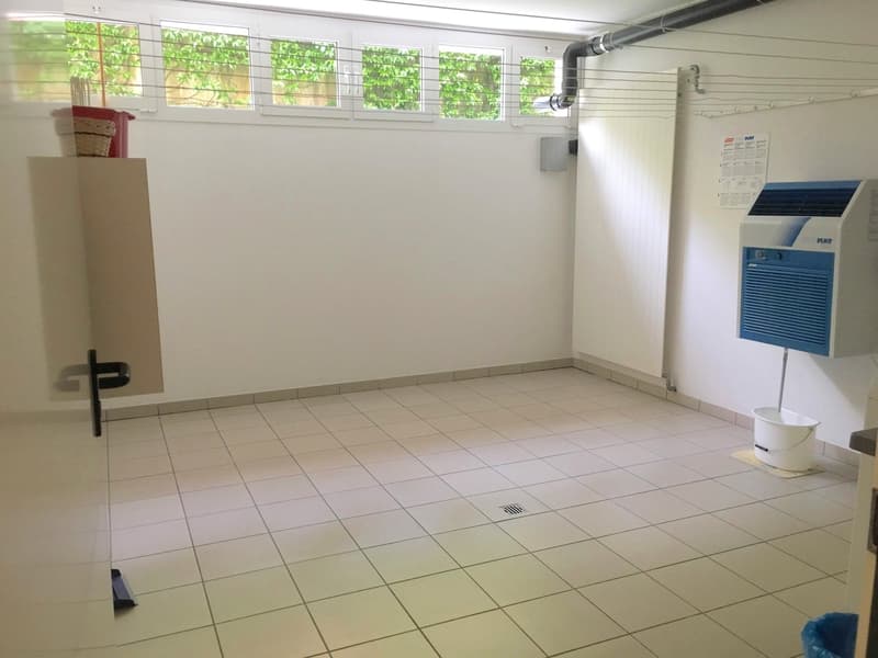 Geräumige und helle Wohnung in Breganzona (12)