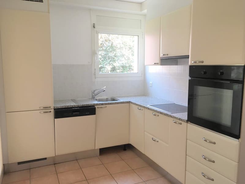 Geräumige und helle Wohnung in Breganzona (5)