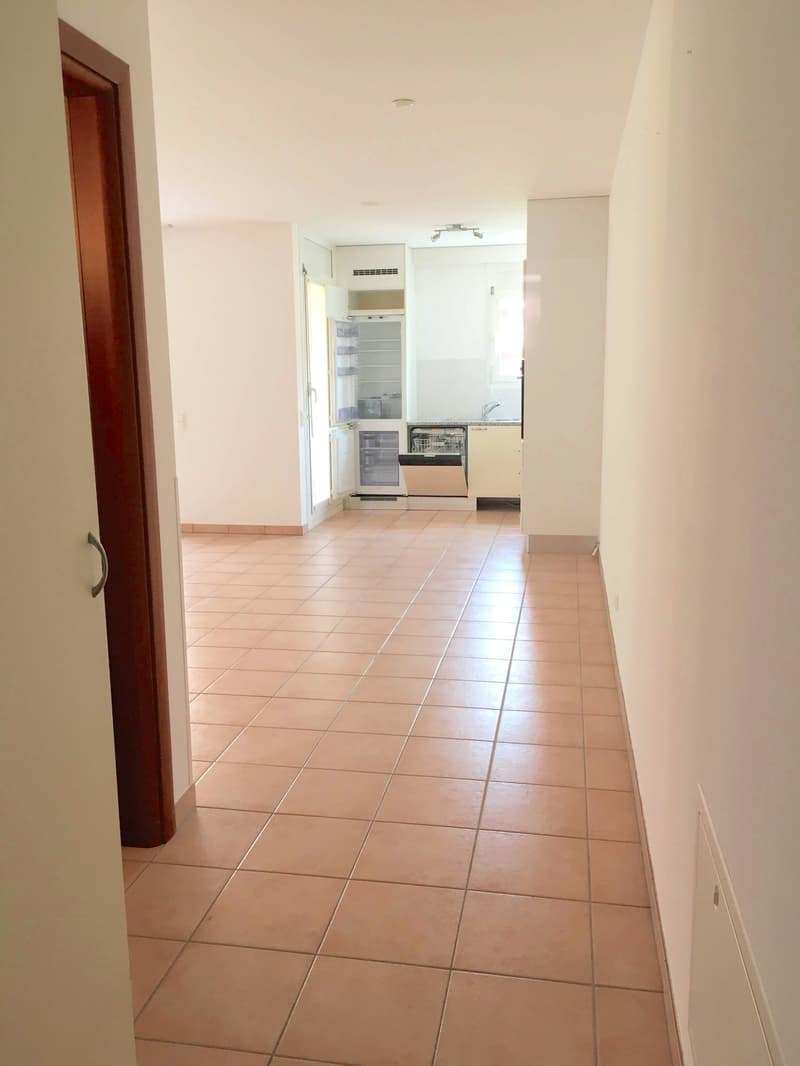 Geräumige und helle Wohnung in Breganzona (4)