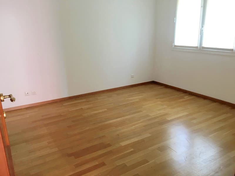 Geräumige und helle Wohnung in Breganzona (9)